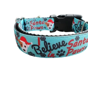 Believe In Santa Paws Christmas Nylon Dog Collar
