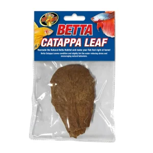 Betta Catapa Leaf