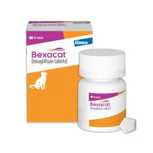 Bexacat (bexagliflozin tablets) Diabetes Mellitus Treatment for Cats 6.6 lbs & Over 15 mg Tablet