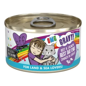 BFF Cat Omg Gravy Best Day Eva Beef & Salmon 2.8 oz. - 12 ct