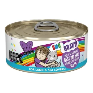 BFF Cat Omg Gravy Best Day Eva Beef & Salmon 5.5 oz. - 8 ct