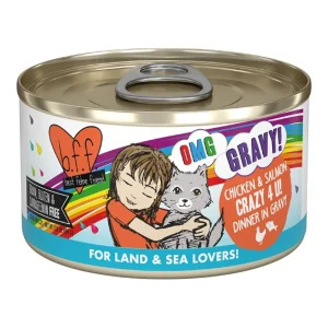 BFF Cat Omg Gravy Crazy 4 U Chicken & Salmon 2.8 oz. - 12 ct