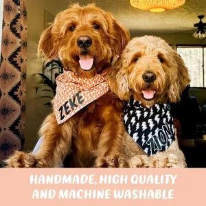 "Big Jolly Icons" Dog Bandana
