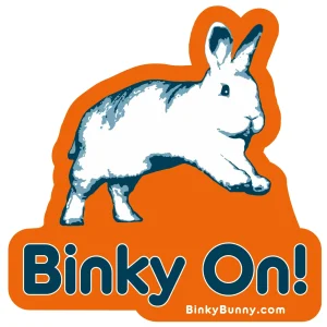 Binky On STICKER - 20 PACK