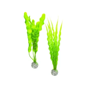 Biorb Easy Plant Set Green Medium 2 ct