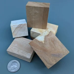 Birch BLOCKS