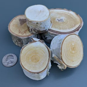 BIRCH Chunks