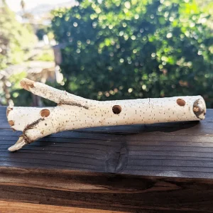 Birch Treat Stick | NEW