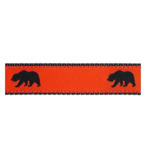 Black Bear