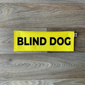 Blind Dog