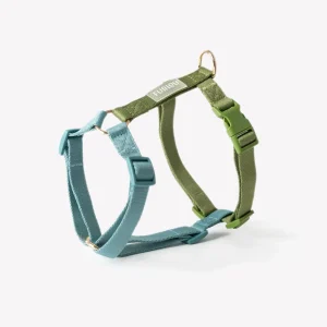 Blue and Green