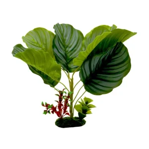 Blue Ribbon Pet Products Tropical Gardens Variegated Calathea Aquarium Plant, 13 in