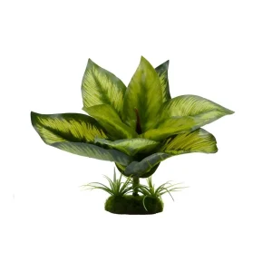 Blue Ribbon Pet Products Tropical Gardens Variegated Diffenbachia, 6 in