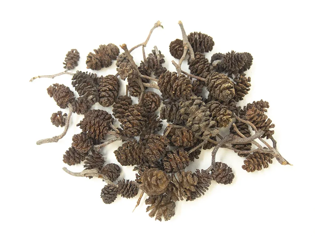 Botanical Breeder Combo Pack (Sulawesi Shrimp) - Image 2