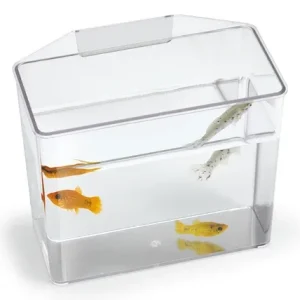 Break Resistant Spec Container Bulk