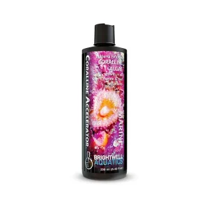 Brightwell Coralline Accelerator 500ml. Nutrients for Coralline Algae growth in Marine & Reef Aquariums