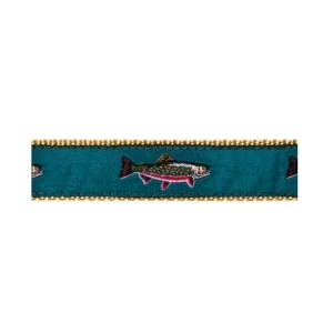 Brook Trout on Teal