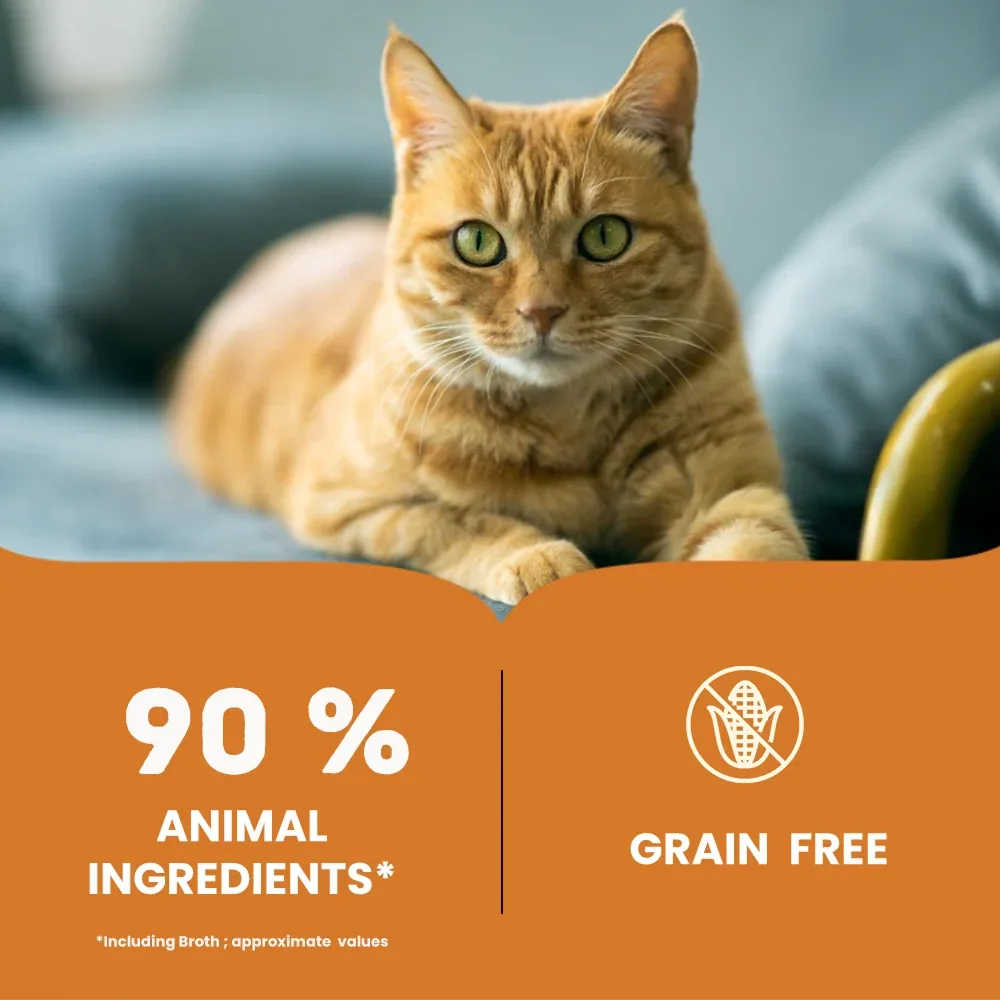 Bruno's Wild Essentials Chicken with Carrot & Pumpkin Cat Wet Food - Image 2