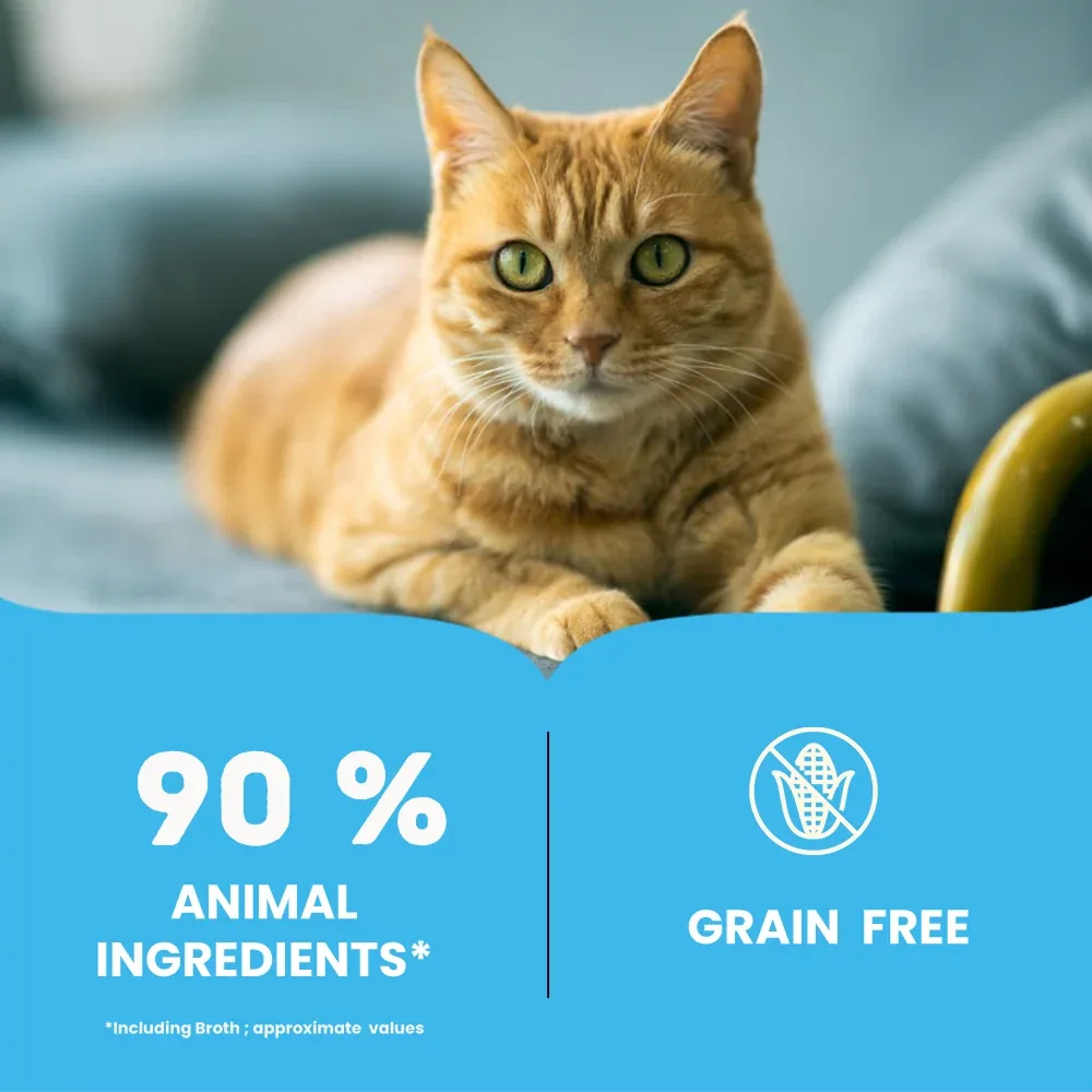 Bruno's Wild Essentials Tuna with Whitefish Cat Wet Food - Image 2