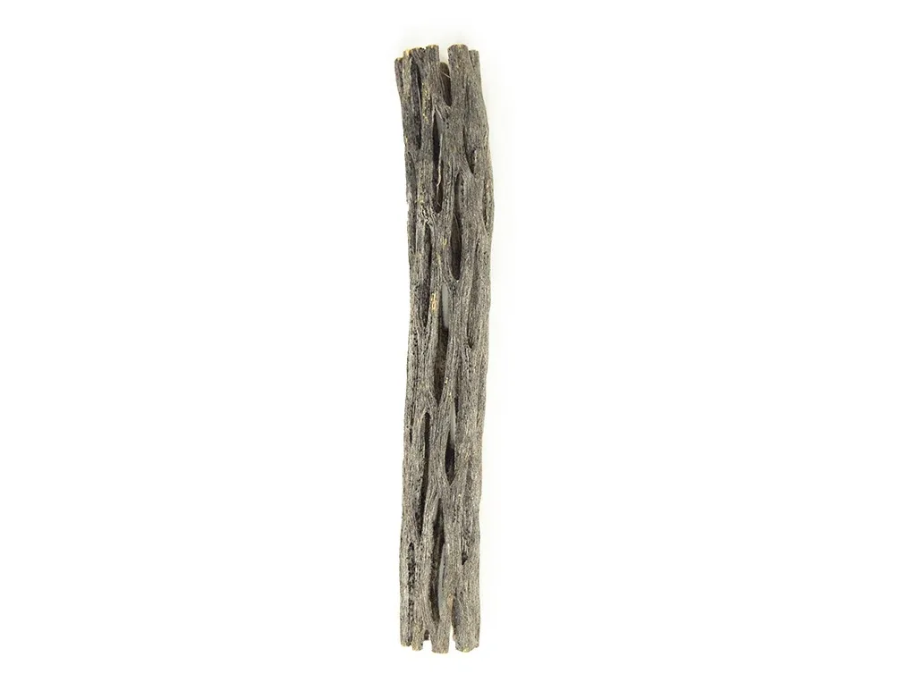 Buckhorn Cholla Wood - Image 2