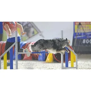 Building Verbals for Agility