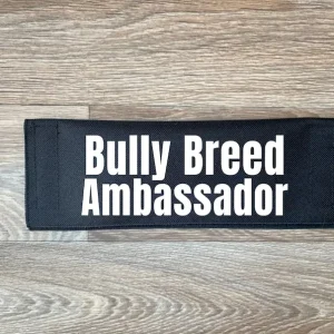 Bully Breed Ambassador