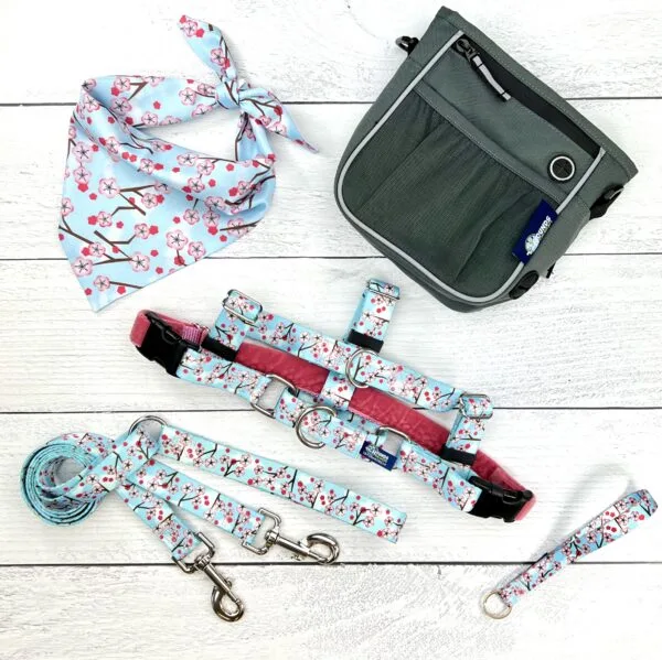 **BUNDLE!** Cherry Blossoms Blue Freedom No