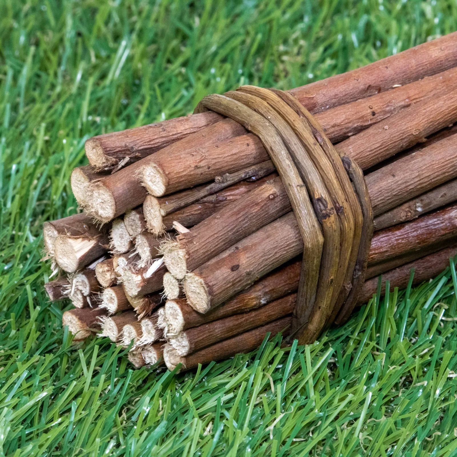 Bundle of Willow (Only 30 Available) - Image 2