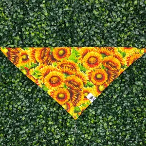 Burst of Sunflowers Bandana