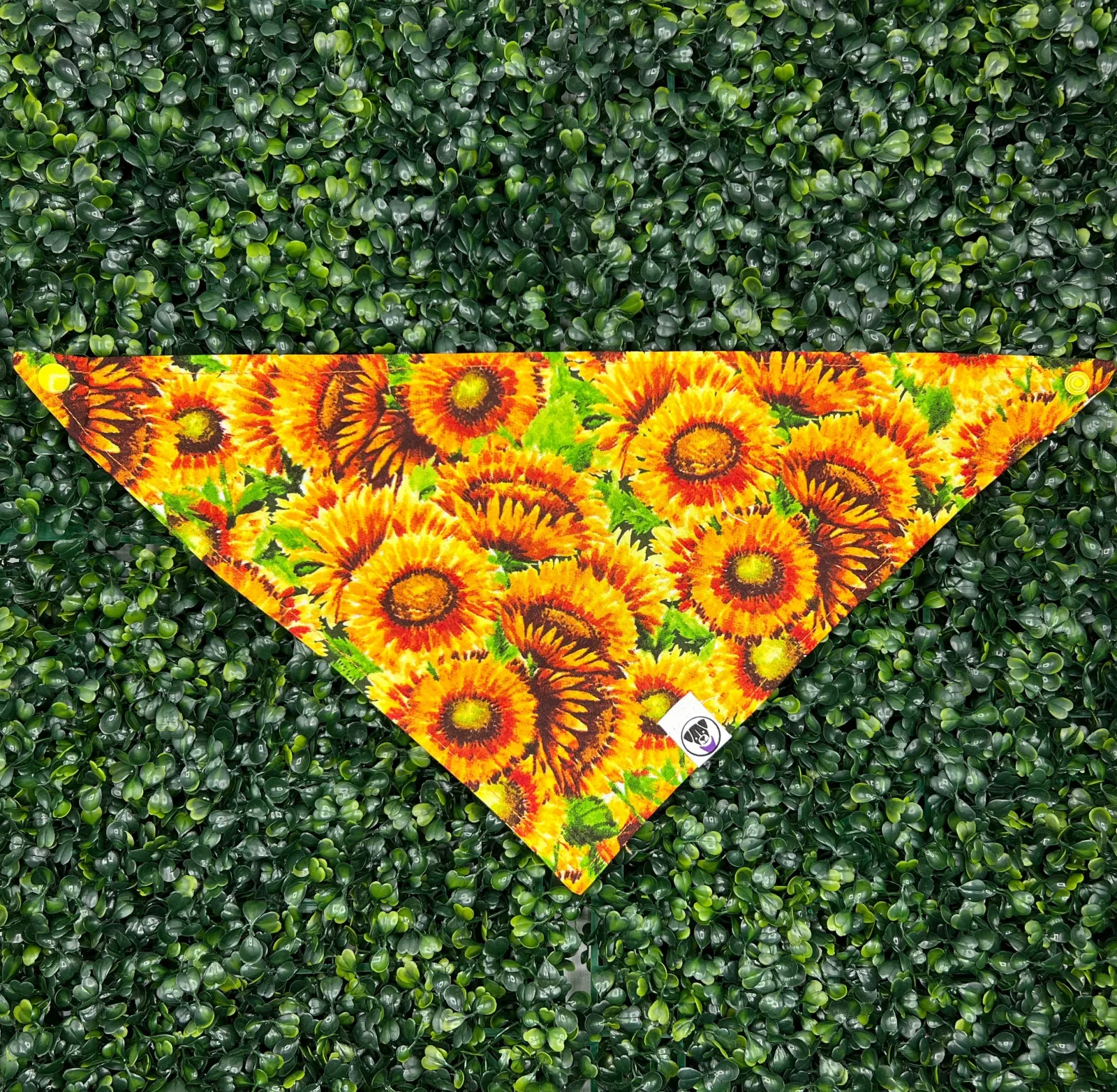 Burst of Sunflowers Bandana