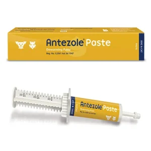 Buy Antezole Paste for Cats & Dogs at Lowest Price