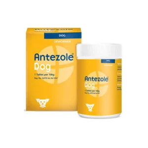 Buy Kyron Antezole Deworming Tablets for Dogs at Lowest Price