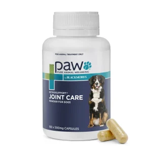Buy Paw Osteosupport Joint Care Powder For Dogs at Lowest Price