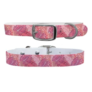 Cali Vibes Dog Collar
