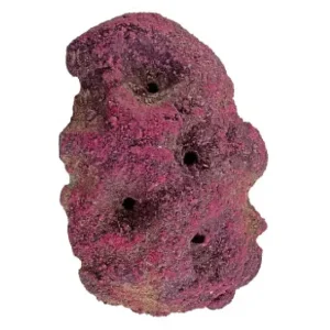 CaribSea LifeRock Frag Garden 5 Hole