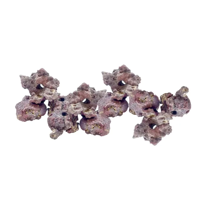Caribsea LifeRock Fraggerz - 10 Pack