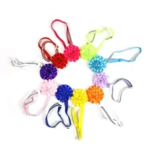 Carnation Assorted Pet Collars, 10 Pack