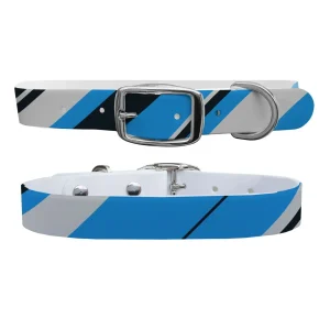 Carolina Football Color Block Team Spirit Dog Collar