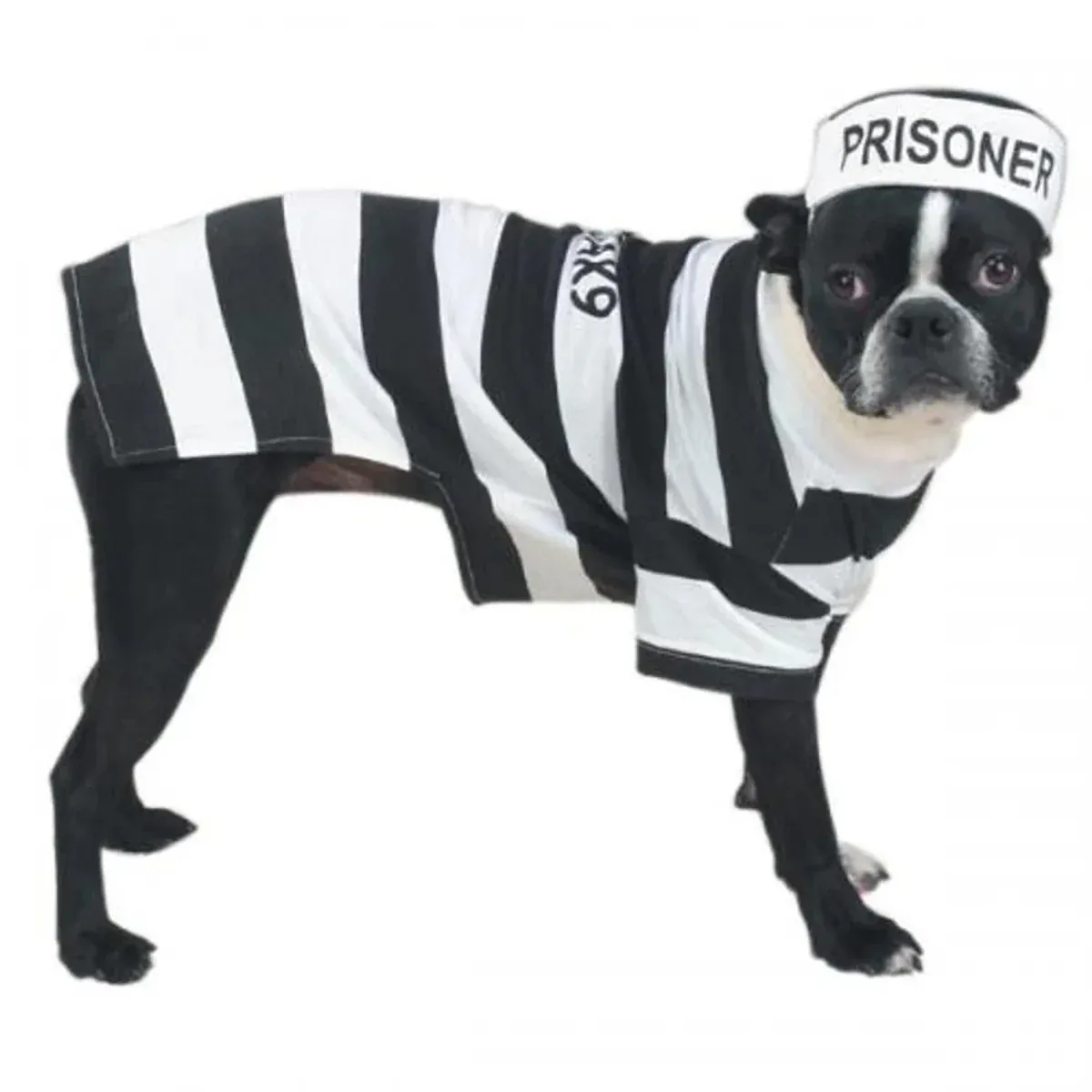 Casual Canine Prison Pooch Costume - Image 2