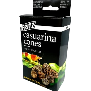 Casuarina Cones