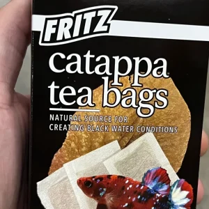 Catappa Tea Bags