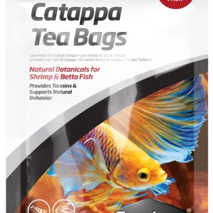 Catappa Tea Bags