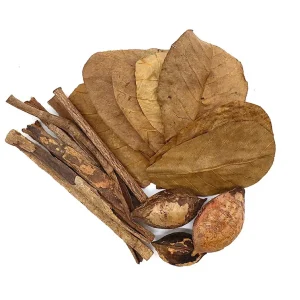 Catappa Tree Botanical Combo Pack
