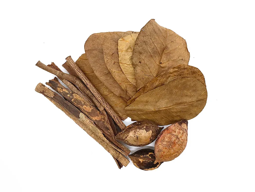 Catappa Tree Botanical Combo Pack