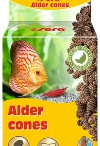 CC - sera alder cones