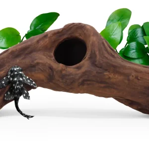 ceramic hide B1