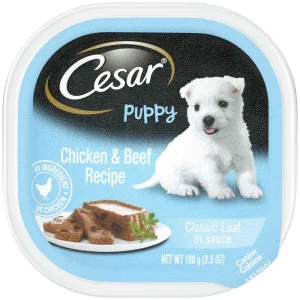 Cesar Classic Loaf in Sauce Puppy Wet Dog Food Chicken & Beef, 3.5 oz each, Case of 24