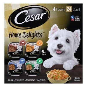 Cesar Filets in Gravy Adult Wet Dog Food Prime Rib, 3.5 oz each, Case of 24