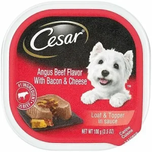 Cesar Loaf & Topper in Sauce Adult Wet Dog Food Angus Beef with Bacon & Cheese, 3.5 oz each, Case of 24