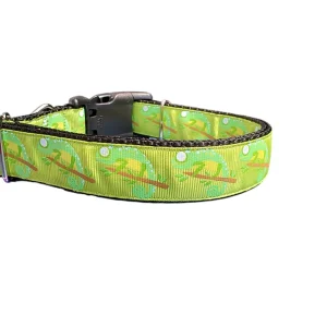 Chameleon Nylon Dog Collar